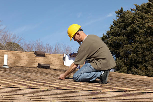 Best Roof Moss and Algae Removal  in Bridgeport, IL